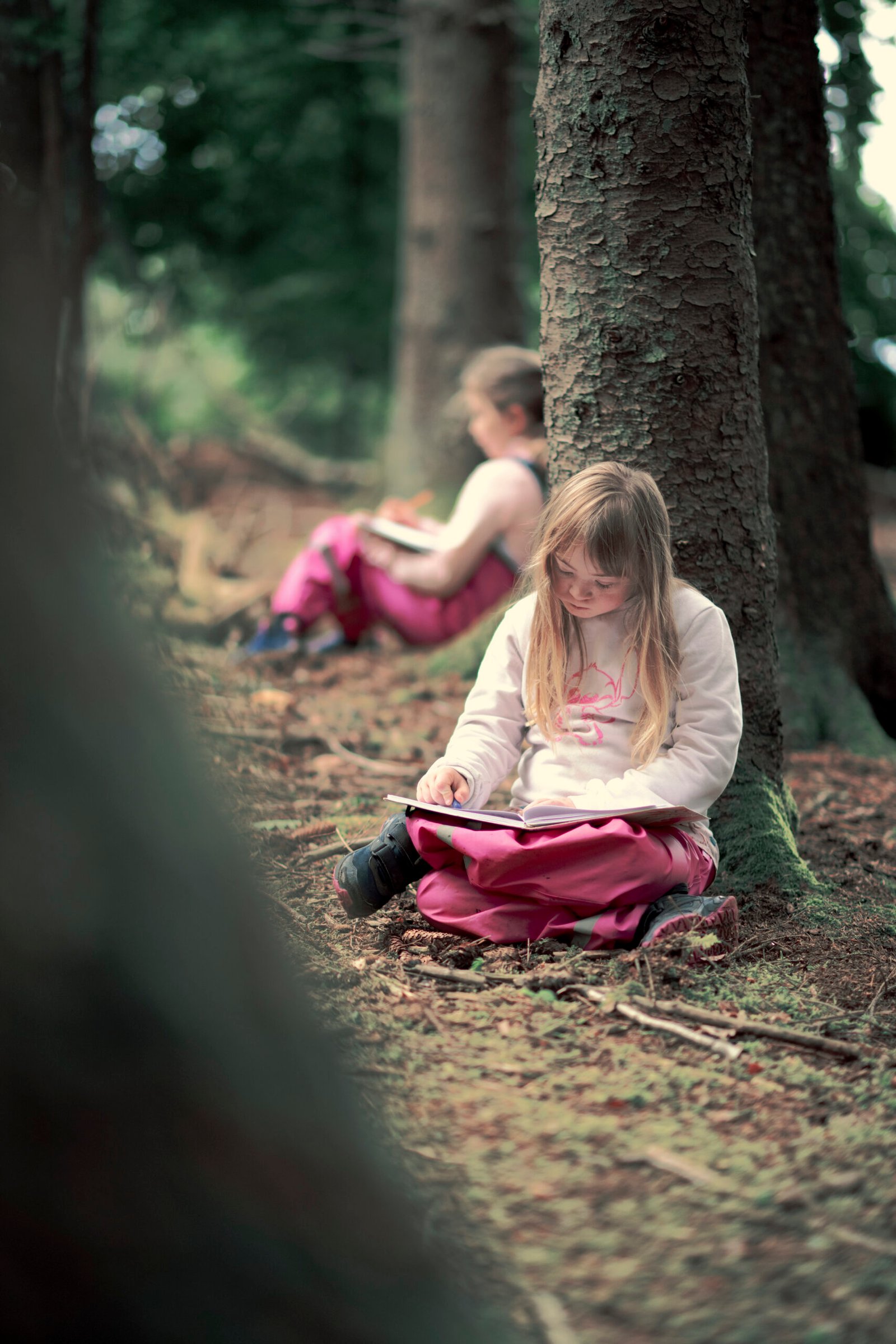 L’ECOLE MONTESSORI SCHULE : Une école connectée à la nature