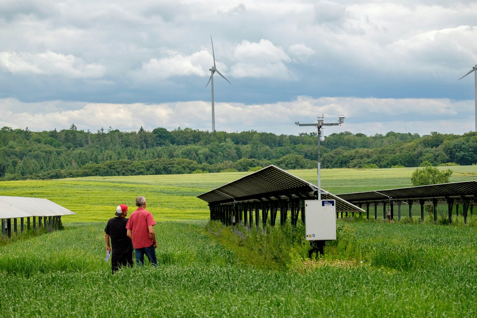 AGRI-PV : deux récoltes sur un même sol
